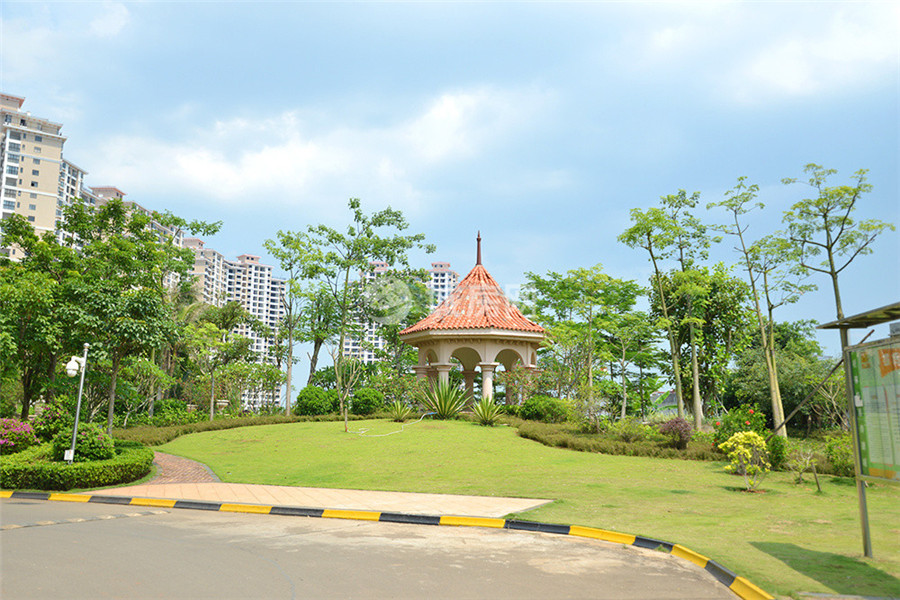 半岛阳光实景图0